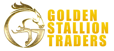 golden stallion traders | store designer